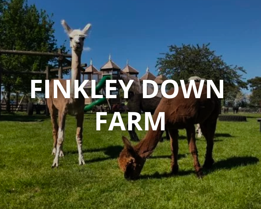 Finkley Down Farm