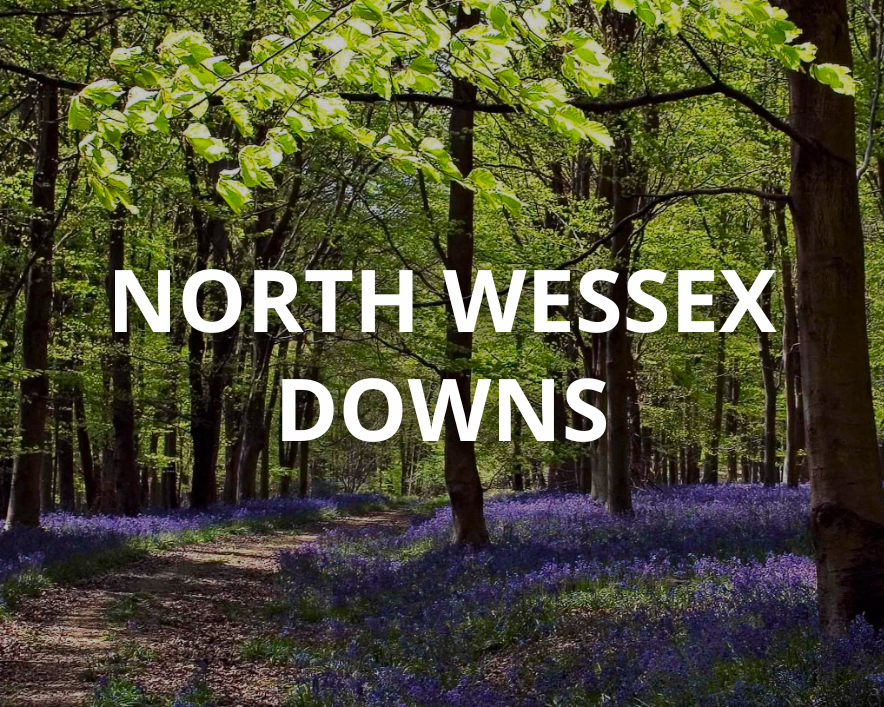 North Wessex Downs